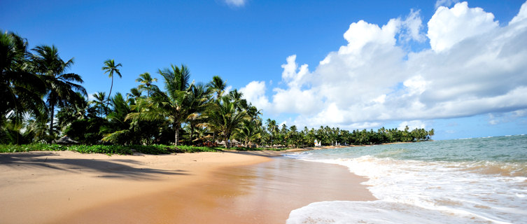 paradisiaca playa en brasil