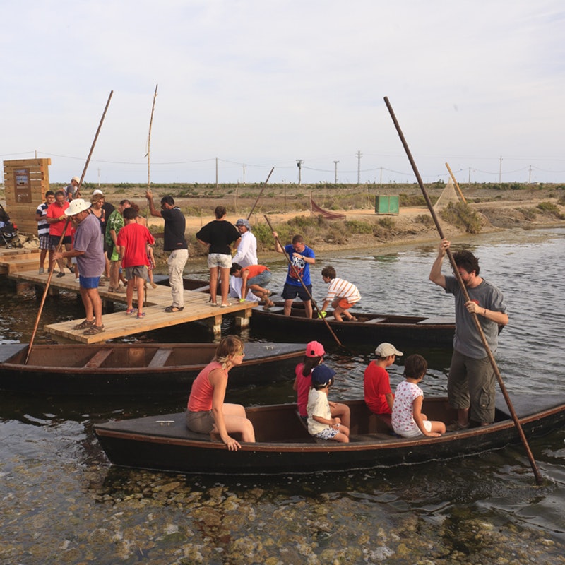 Viajes en barca en MonNatura Delta del Ebre