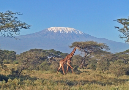 turismo en kilimanjaro