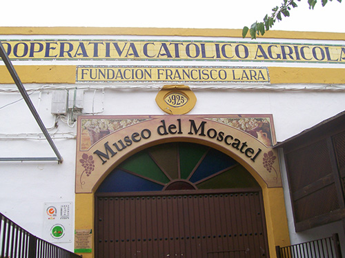 Museo del Moscatel