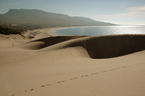 Playa Bolonia