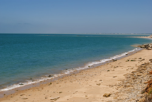 Playa de Montijo