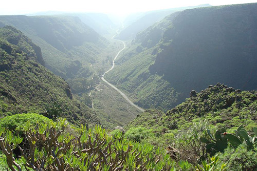 Barranco de Guayadeque