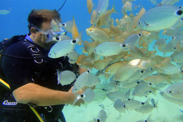 Bucear en las costas de Mallorca nos permite ver un fondo submarino fantástico