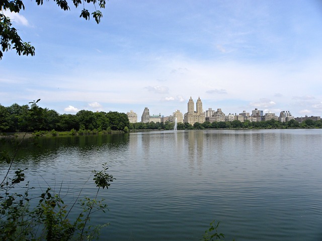 naturaleza en central park