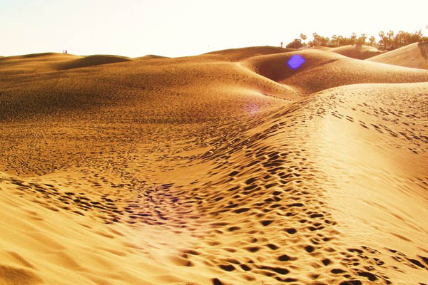 Las dunas de Maspalomas