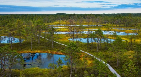 naturaleza y parques