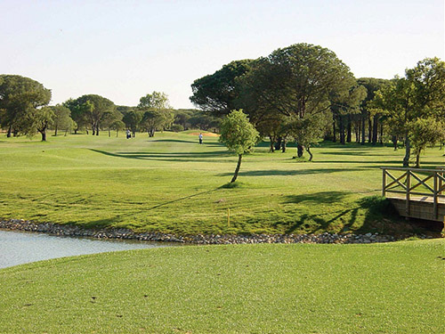 Campo de golf