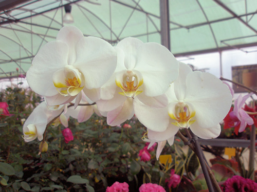 Jardín botánico