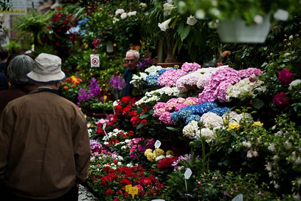 Mercado de Ile de la Cite, otro lugar muy popular para unas compras en París