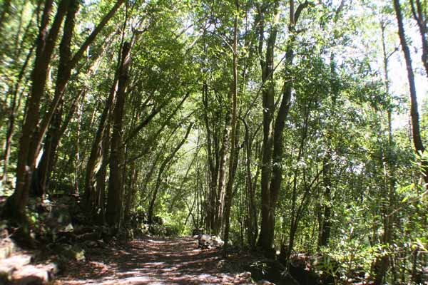 Parque Nacional de las Nieves