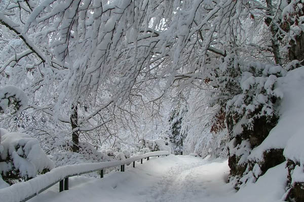 Parque de Ordesa en invierno