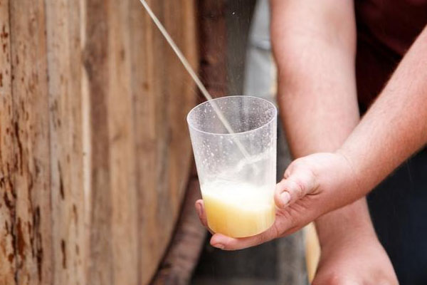 Tradición en País Vasco de elaboración y degustación de sidra