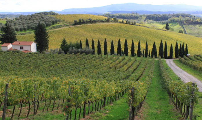 Paisaje típico de la Toscana