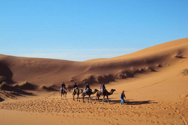Excursión por el Sahara desde Marrakech en camellos